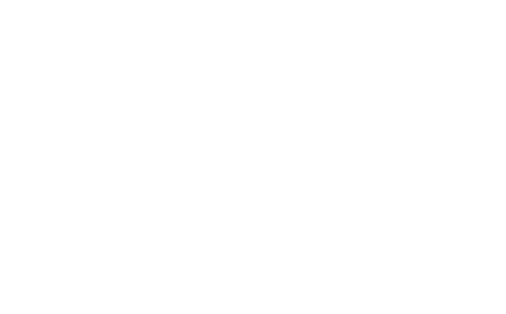sm plastering services logo upscaled white